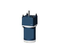 Moteur réducteur à courant continu 20 W, 12 V/24 V, couple élevé, rotation horaire/antihoraire(210rpm,12V only Motor)