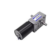 Moteur sans balais 5840 à 3650 DC 12V, faible bruit, couple élevé, engrenage à vis sans fin autobloquant, 1 pièce(Double shaft,27rpm)