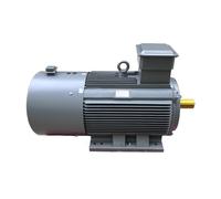 Moteur synchrone horizontal à aimant permanent et variateur de fréquence, 7,5 kW haute puissance, 22 kW triphasé, commande de vitesse(YYT112M-11kw-302W)