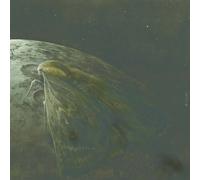 Augrimmer - Moth and The Moon