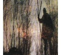 Mother Destruction - Content With Blood