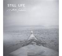 Mother Falcon - Still Life