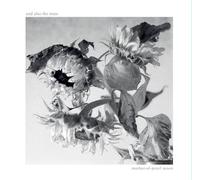 Mother-Of-Pearl Moon Vinyle