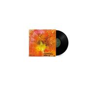 Doldinger's Motherhood – Motherhood – Vinyle LP – Remaster 2024 – Neuf – Rhino