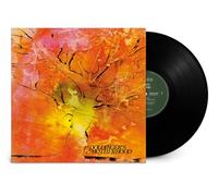 Doldinger's Motherhood – Motherhood – Vinyle LP – Remaster 2024 – Neuf – Rhino