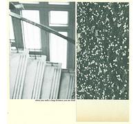 The Mothers – When You Walk A Long Distance You Are Tired – CD