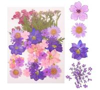 MOTHNUR 27 Pièces Kit Fleurs Séchées Pressées Naturelles pour DIY Décoration Mariage Art Nail Art Accessoires Résine Bouquet Centre de Table