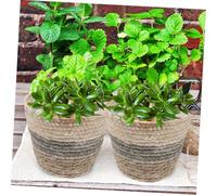 MOTHNUR 3 pièces Panier Tressé Main pour Plantes Intérieur Cache-Pot Jonc de Mer Naturel Multifonction pour Fleurs Fraîches et Séchées Décoration Maison Élégante et Rangement Pratique