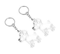 MOTHNUR 4 pièces Porte-clés Collecteur Transparent pour Poils de Chien Compact et Léger Boîte Souvenir Portable pour Mémoire Animale Accessoire Pratique pour Amoureux des Chiens