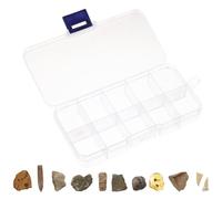 MOTHNUR Boîte de Spécimens Fossiles 10 Pièces Modèle de Simulation Paléontologique Trilobite et Ambre Fossile Décor Éducatif de Bureau pour Enseignement et Collection