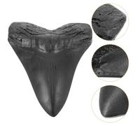 MOTHNUR Dent de Mégalodon Géante en Résine Lisse Réplique Décorative de Dents de Requin Fossilisées Spécimen Unique pour Décoration de Bureau et Collection Scientifique