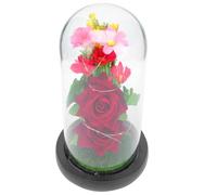 MOTHNUR Lampe LED Petite Veilleuse avec Rose Artificielle sous Cloche en Verre Décoration Chic pour Maison et Bureau Ornement Floral Lumineux pour Saint-Valentin et Fête des Mères