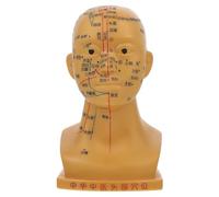 MOTHNUR Modèle de Tête Humaine d'Acupuncture 20 CM Cuivre Modèle Pédagogique de Points d'Acupuncture Faciaux Multifonctions Accessoire Éducatif pour Massage et Étude Médicale