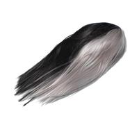 MOTHNUR Perruque Synthétique Longue Noire et Grise Résistante pour Cosplay et Fêtes