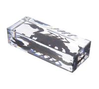 MOTHNUR Scorpion Insecte Spécimen Presse-papiers Résine Transparente Acrylique Collection Scientifique Éducative pour Bureau Décor et Apprentissage