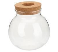 MOTHNUR Vase Hydroponique Verre Élégant pour Plantes Intérieur Décoration de Bureau et Maison Petit Terrarium de Culture sans Terre Support pour Plantes Hydroponie