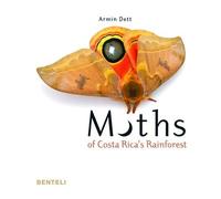 Moths Of Costa Rica's Rainforest
