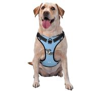 Motif Animal Mignon de Chien Schnauzer,Harnais pour Animaux de Compagnie, Harnais réfléchissant réglable pour Chien,XL