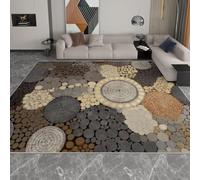 Motif Cercles Tapis 60x90 cm Style Abstrait Moquette Antiderapant à Poils Courts Tapis 3D Lavable en Machine Convient aux EntréEs Couloirs et Portes d'Entrée a-3788