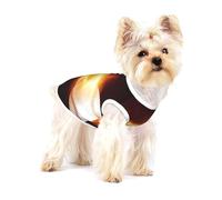 Motif de Flamme de feu de Baseball brûlant,T-Shirt sans Manches en Coton pour Animaux de Compagnie, Gilet Respirant, Extensible et Doux,S