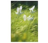 Motif de Plumes Puzzles Adultes 1000 Pièces en Bois, Jouet De Puzzle De Défi De Cerveau pour des EnfFourmis, D’Intelligence 78×53cm