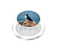 Motif macareux de l'Atlantique, Oiseau de mer, Faune côtière, océan, Nature PopSockets PopGrip pour MagSafe