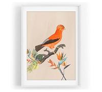 Motif oiseau - Fleurs exotiques des mers du Sud - Couleur unique - Avec cadre blanc - Format A3