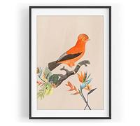 Motif oiseau - Fleurs exotiques des mers du Sud - Couleur unique - Avec cadre noir - Format A3