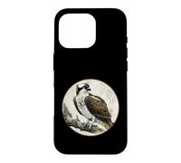 Motif Oiseau Osprey rétro coloré Coque pour iPhone 16 Pro
