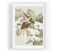 Motif oiseau - Paradis des mers du Sud - Fleurs exotiques vintage - Couleur - Motif encadré blanc - Format A3