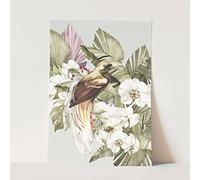 Motif oiseau - Paradis des mers du Sud - Fleurs exotiques vintage - Couleur - Sans cadre - Format A3