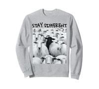 Motif Stay Different Be Unique Sheep avec Un Mouton Noir Sweatshirt