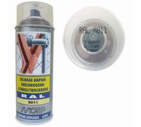 Motip 07113 Vernis/laque RAL