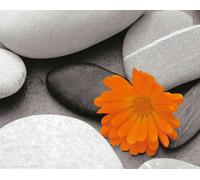 Motivation - Mini poster - Galets - Souci + 1 poster 61x91.5cm
