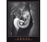 Motivational - Mini poster - Trust - Elephant + 1 sur-poster de taille 61x91,5cm