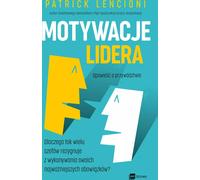 Motivations du dirigeant