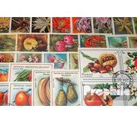 Motives 50 Divers Fleurs et Plantes Timbres (Timbres pour Les collectionneurs) Plantes/Champignons