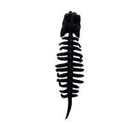 MotiveTech Costume Dinosaure Enfant Cosplay Déguisement Squelette Capuche Coiffe Crâne Dos avec Vertèbres et Côtes Structure Remplie Stable en Peluche Courte et, Noir