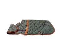 MotiveTech Couverture pour Chevaux, Vêtement Respirant, Protection Imperméable, Couverture D'extérieur pour Les Activités de Plein Air, Le Transport et La Ne, Vert Foncé 90 Cm