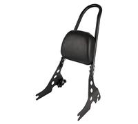 MotiveTech Dossier Passager avec Coussin Rembourré Sissy Bar avec Coussinet Facile à Installer Accessoire pour Passagers, Route