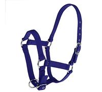 MotiveTech Licol pour Cheval Réglable Renforcé en Nylon Muserolle Souple Filet D'Entraînement Pratique Bride pour Contrôle Facile Adapté à Transport, Bleu, s
