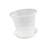 MotiveTech Pot, Pot de Semis, Transparent, Léger, pour Usage Intérieur et Extérieur, pour Le Rempotage, 14cm