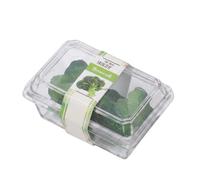 MotiveTech Réplique Industrielle Miniature Alimentaire Boîte Accessoire Maison de Poupée Conteneur Mini Coffret Aliment en PVC Transparent pour Dioramas Scènes, Brocoli en Boîte
