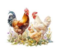 MotiveTech Sticker Coqs Poules Décoration Murale pour Salle de Bain école Salle à Manger