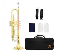 MotiveTech Trompette Si Bémol Bémol Débutant Trompette En Laiton Complet Instrument à Vent pour Débutants, Élèves, Bronze Phosphoreux