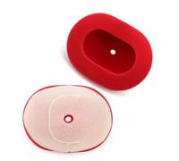 Moto Accessoires Lot De 2 Filtres À Air Pour Moto, Pièces Détachées Pour Y-AMAHA YFM125 Grizzly 125 2005 2006 2007-2014 Pour Raptor