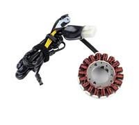 Moto Allumage Bobine Stator Bobine De Stator Pièces Moteur Générateur Magnéto Allumage pour KLX250SF KLX 250 KLX250 SSF D-Tracker 2008-2014 21003