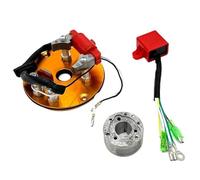 Moto Allumage Bobine Stator Magnéto Kit Stator Rotor Interne Bobine Magnéto Moto Moteur Générateur D'allumage Bobine Stator De Magnéto pour LF YX 50/110/125/150/160cc(Go)