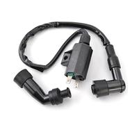 Moto Bobine Allumage pour Suzuki LT-F250 pour Ozark 250 LT-Z250 pour QuadSport 250 LT-4WD LT-F4WD pour QuadRunner 33410-05G00 33410-42A00 22AV0 Bobine D'allumage Assy