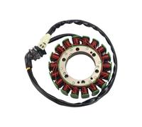 Moto Bobine d'allumage Bobine D'assemblage De Stator D'allumage De Générateur De Moteur Magnéto De Moto pour CBR900RR CBR919RR 1996 1997 1998 1999 31120-MAS-004